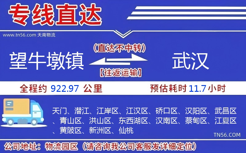 望牛墩鎮到武漢物流公司